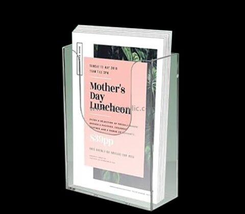 Custom acrylic wall mounted brochure literature holder BH-2390