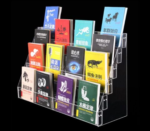 China acrylic manufacturer customized acrylic brochure holder BH-696